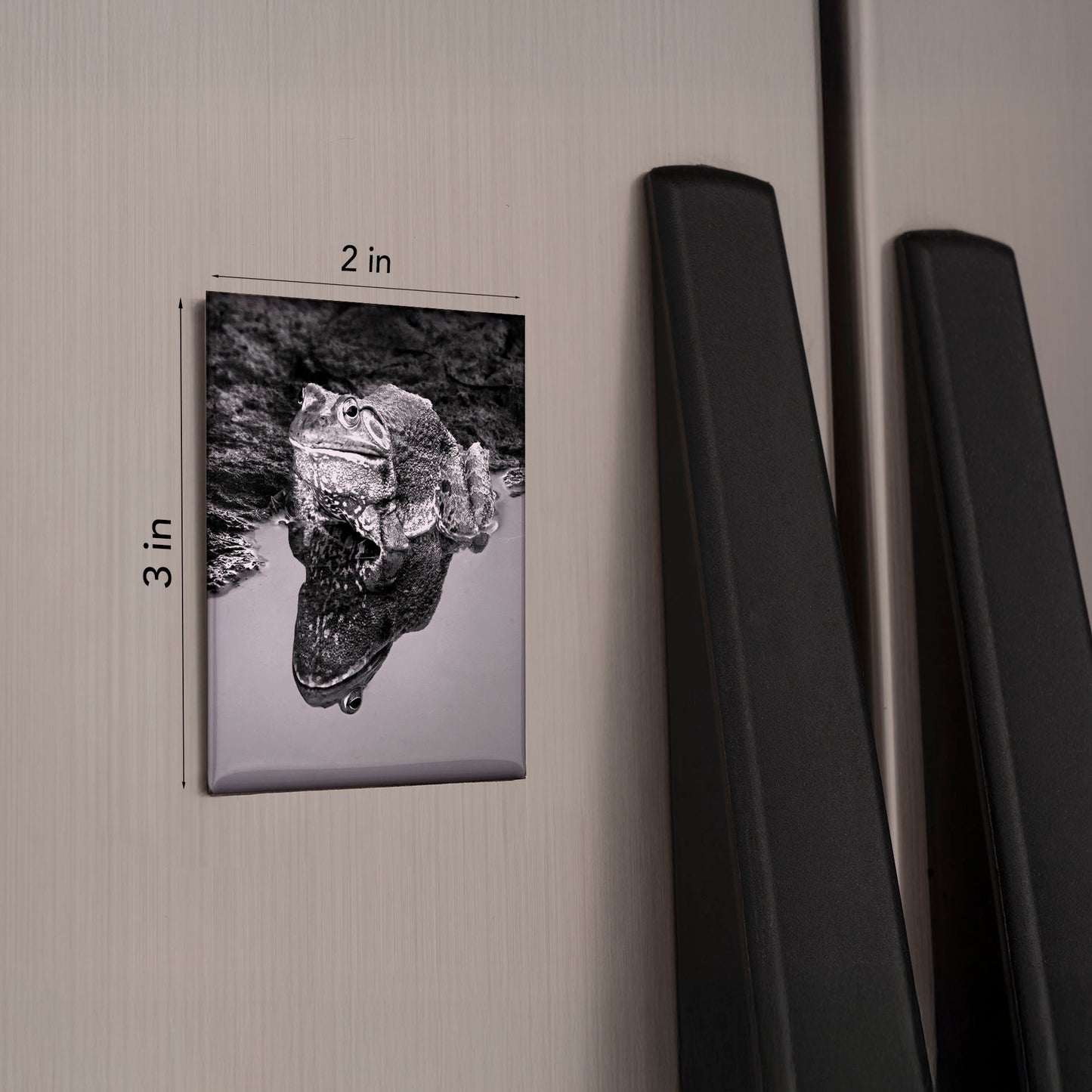 Frog Reflection Magnet – 2x3 Black & White Photo Art