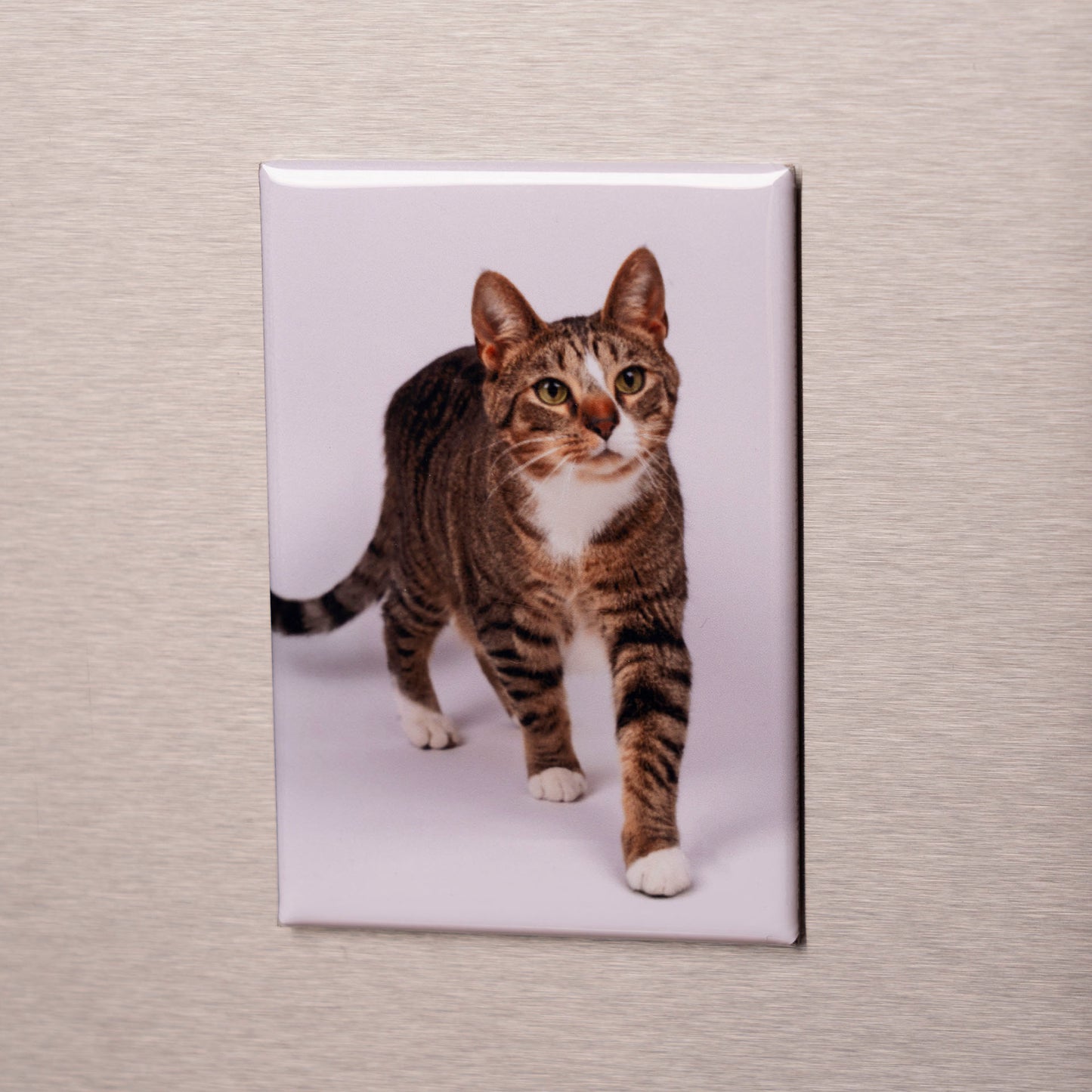 Custom 2x3 Photo Magnets – Personalized Fridge Magnets for Memories, Gifts & Home Decor