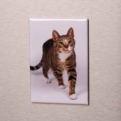 Custom Photo Magnets 3×2 – Turn Memories Into Keepsakes