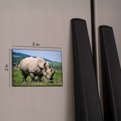 Rhino Magnet – 3x2 Wildlife Photo Keepsake