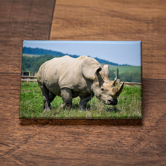 Rhino – Signature Fridge Magnet, Animal Quote Magnet, Gift for Friends, Coworkers, or Kids