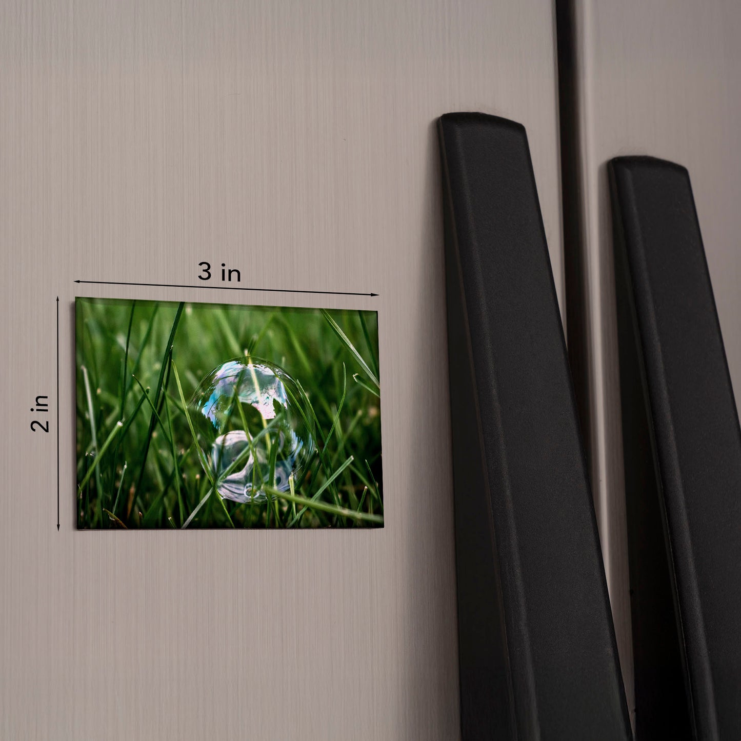 Bubble in the Grass Magnet – 3x2 Everyday Wonder