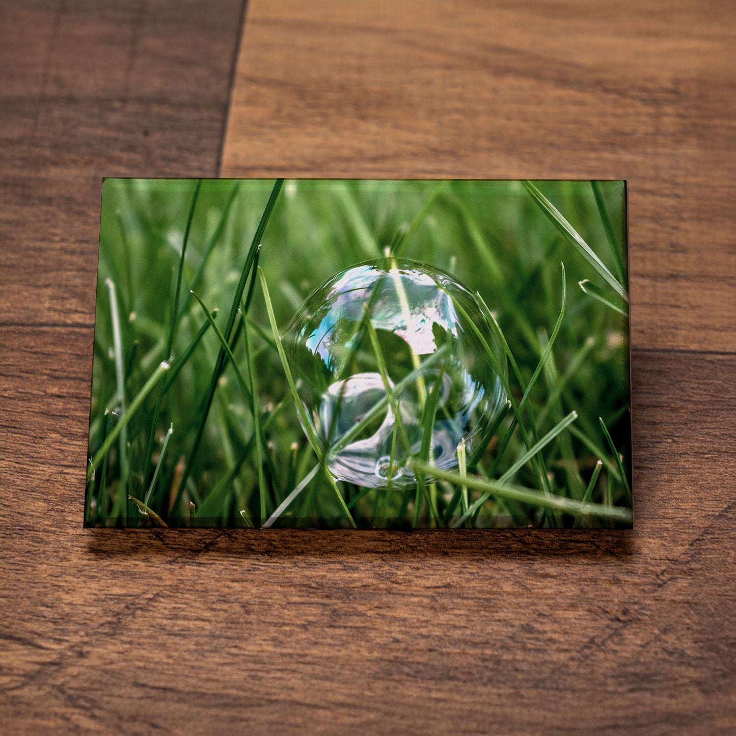 Bubble in Grass – Signature Fine Art Photo Magnet, Nature Fridge Magnet, Gift for Photography Lovers