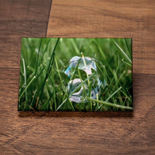 Bubble in Grass – Signature Fine Art Photo Magnet, Nature Fridge Magnet, Gift for Photography Lovers