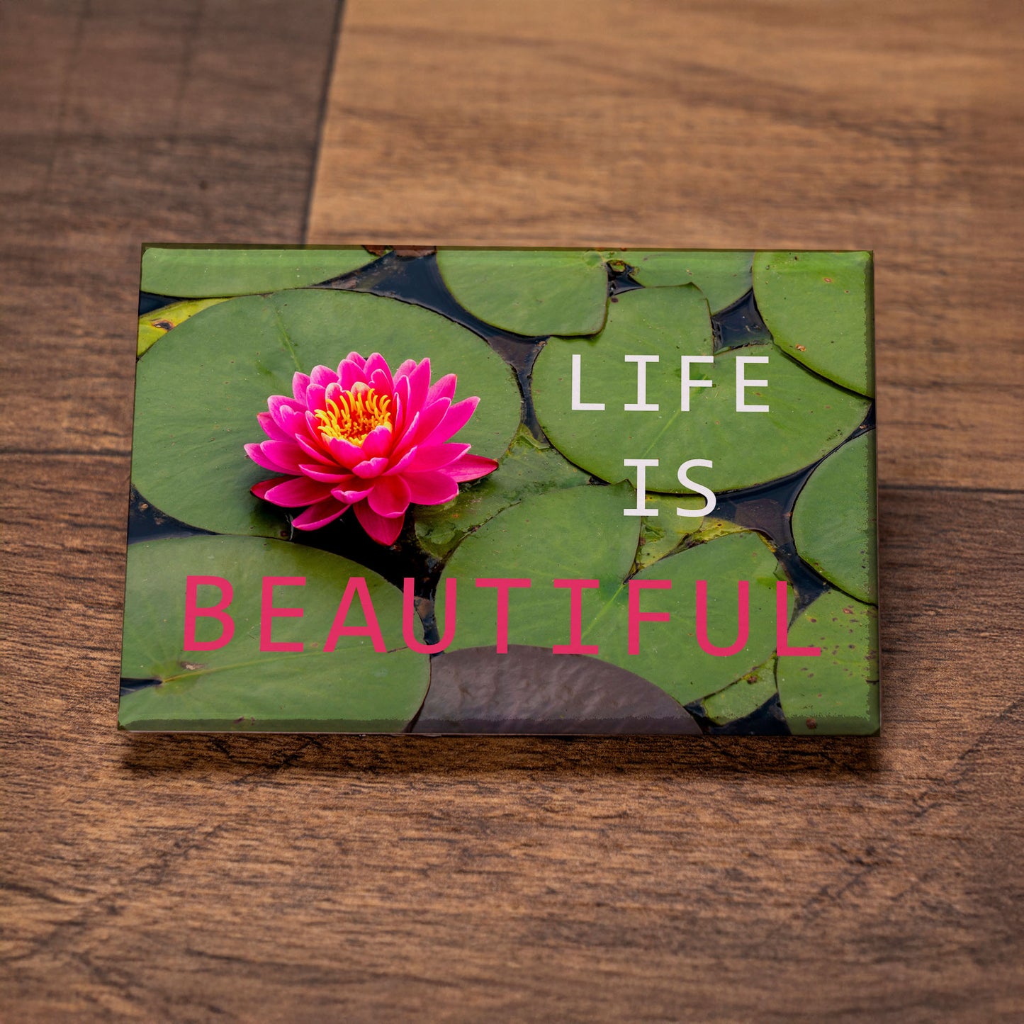 Life Is Beautiful Magnet – 3x2 Waterlily Photo