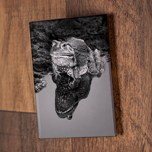 Black & White Frog Reflection – Signature Fridge Magnet, Nature Photography Magnet, Gift for Animal Lovers